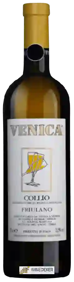 Winery Venica & Venica - Friulano