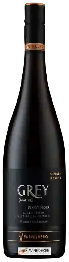 Winery Ventisquero - Grey (Glacier) Las Terrazas Vineyard Pinot Noir