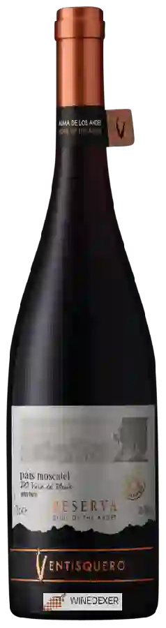 Winery Ventisquero - Reserva País - Moscatel