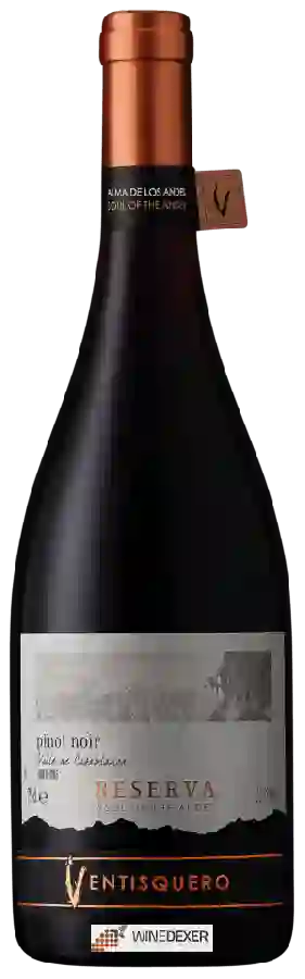 Winery Ventisquero - Reserva Pinot Noir