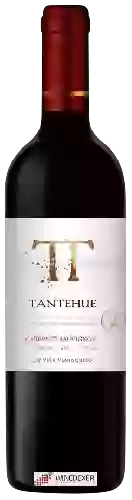 Winery Ventisquero - Tantehue Cabernet Sauvignon