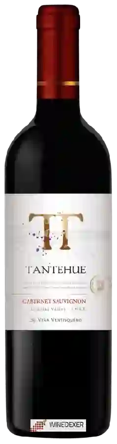 Winery Ventisquero - Tantehue Cabernet Sauvignon