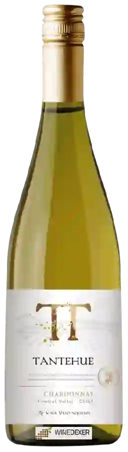 Winery Ventisquero - Tantehue Chardonnay Winery Ventisquero - Tantehue Chardonnay