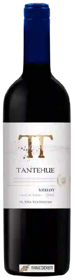 Winery Ventisquero - Tantehue Merlot