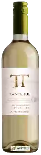 Winery Ventisquero - Tantehue Sauvignon Blanc