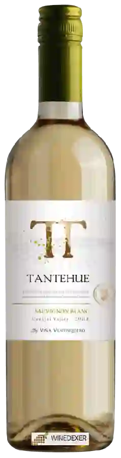 Winery Ventisquero - Tantehue Sauvignon Blanc