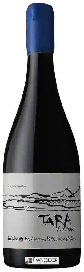 Winery Ventisquero - Tara Syrah (Shiraz)
