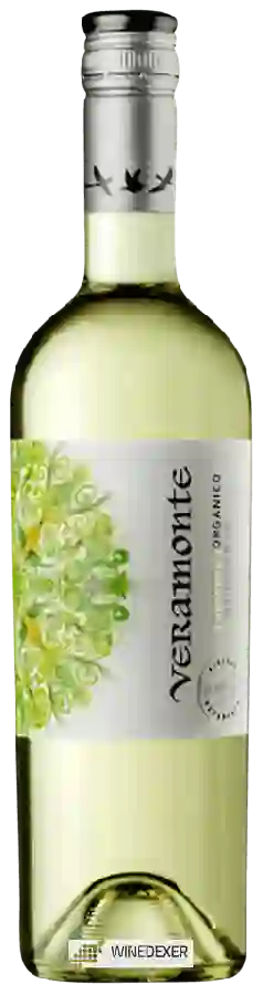 Winery Veramonte - Sauvignon Blanc Organic
