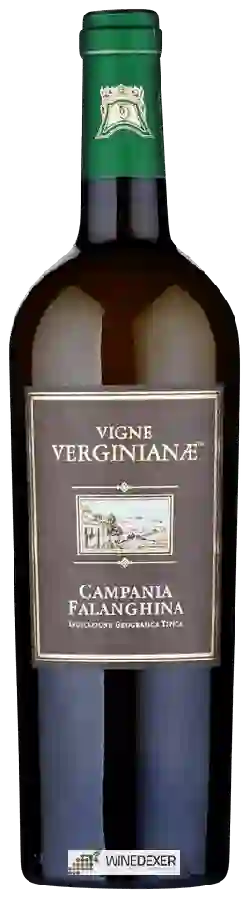 Winery Vigne Verginianae - Campania Falanghina Winery Vigne Verginianae - Campania Falanghina