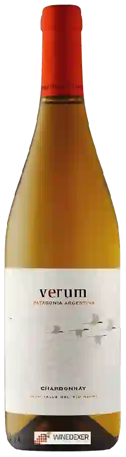 Winery Verum - Chardonnay