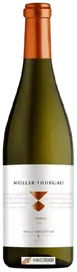 Winery Villa Vescovile - Müller Thurgau Winery Villa Vescovile - Müller Thurgau