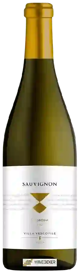 Winery Villa Vescovile - Sauvignon