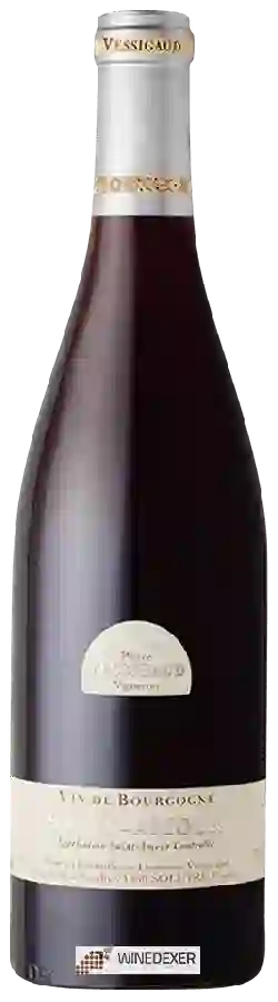 Winery Vessigaud - Saint-Amour