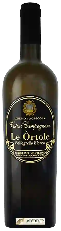 Winery Vestini Campagnano - Le Òrtole Pallagrello Bianco Winery Vestini Campagnano - Le Òrtole Pallagrello Bianco