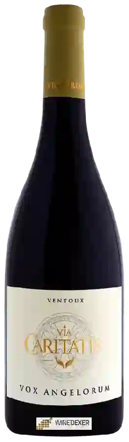 Winery Via Caritatis - Vox Angelorum Ventoux Winery Via Caritatis - Vox Angelorum Ventoux