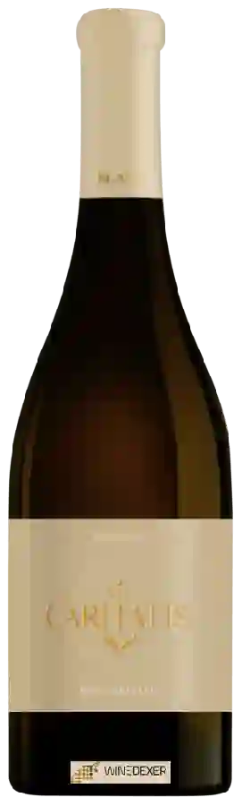 Winery Via Caritatis - Vox Caritatis Blanc Winery Via Caritatis - Vox Caritatis Blanc