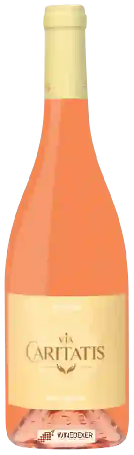 Winery Via Caritatis - Vox Domini Ventoux Rosé
