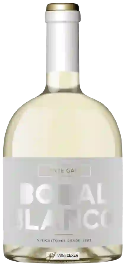 Winery Vicente Gandía - Bobal Blanco