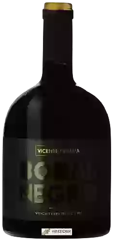 Winery Vicente Gandía - Bobal Negro