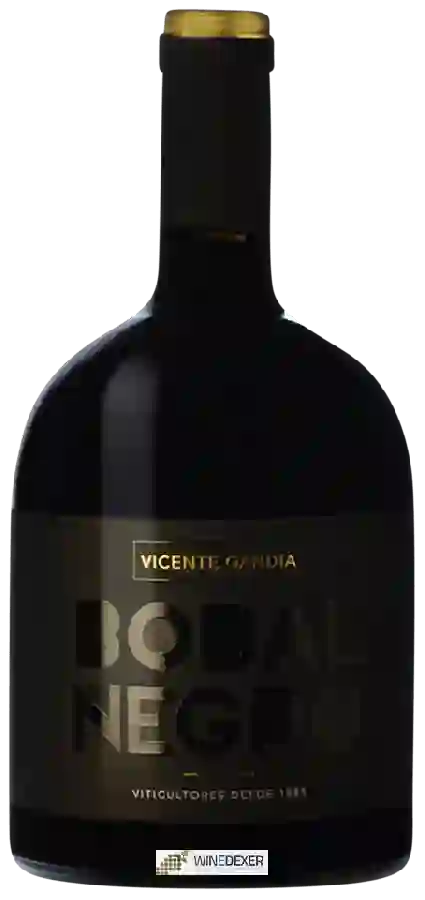 Winery Vicente Gandía - Bobal Negro