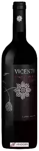 Winery Vicentin - Blend de Malbecs
