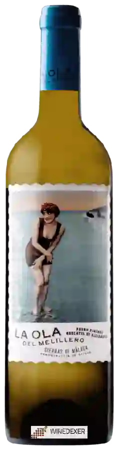 Winery Victoria Ordoñez - La Ola del Melillero Verdejo Winery Victoria Ordoñez - La Ola del Melillero Verdejo
