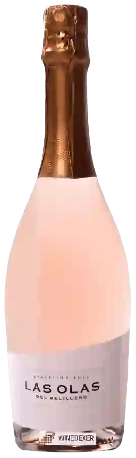 Winery Victoria Ordoñez - Las Olas del Melillero Sparkling Rosé