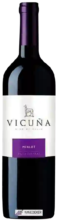 Winery Vicuña - Merlot Winery Vicuña - Merlot
