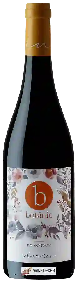 Winery Vins de Terrer - Botānic Winery Vins de Terrer - Botānic