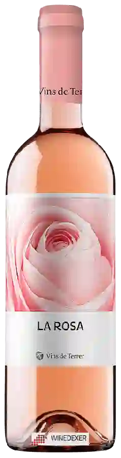 Winery Vins de Terrer - La Rosa