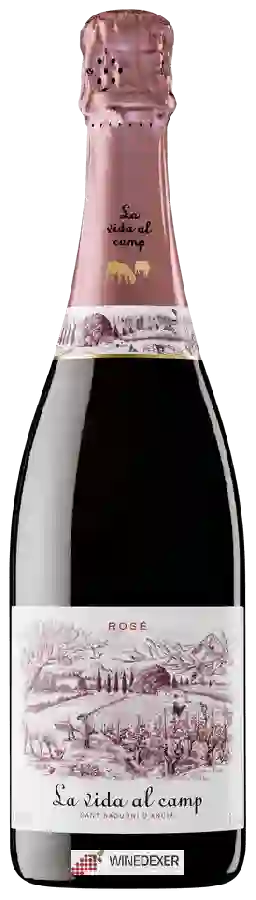 Winery Vins de Terrer - La Vida al Camp Cava Brut Rosé