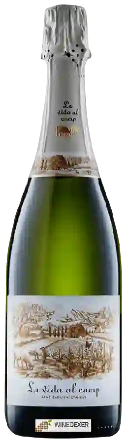 Winery Vins de Terrer - La Vida al Camp Cava Brut