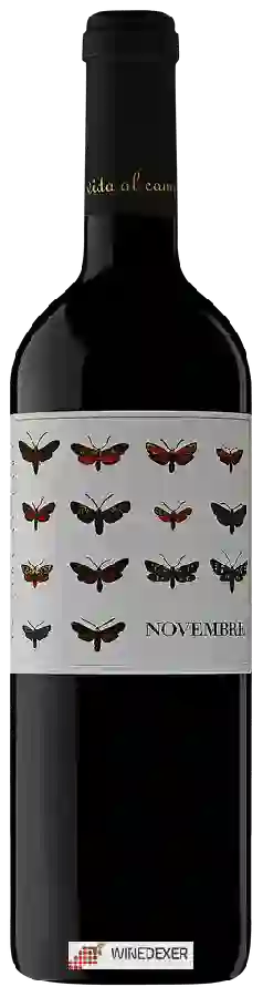 Winery Vins de Terrer - Novembre Winery Vins de Terrer - Novembre