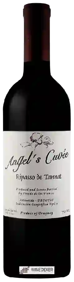 Winery Vientos - Angel's Cuvée Ripasso de Tannat Winery Vientos - Angel's Cuvée Ripasso de Tannat