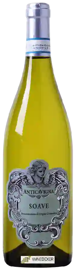 Winery Antica Vigna - Soave