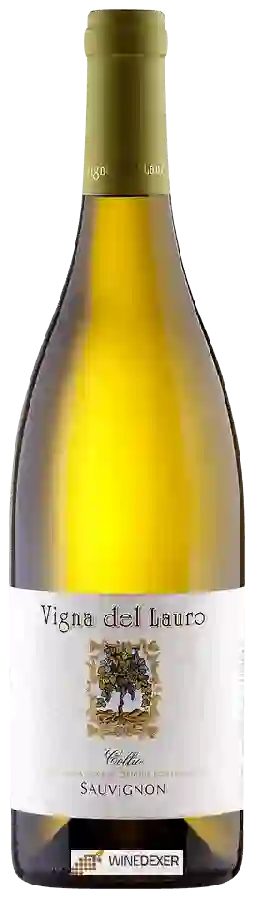 Winery Vigna del Lauro - Sauvignon