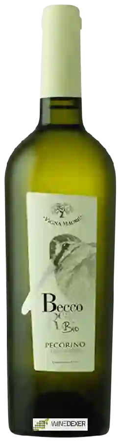 Winery Vigna Madre - Becco Reale Pecorino Winery Vigna Madre - Becco Reale Pecorino