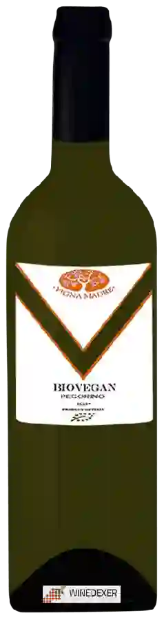 Winery Vigna Madre - Biovegan Pecorino Winery Vigna Madre - Biovegan Pecorino