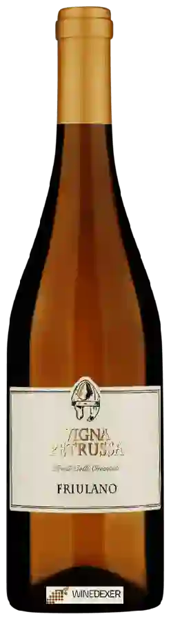 Winery Vigna Petrussa - Friulano Winery Vigna Petrussa - Friulano