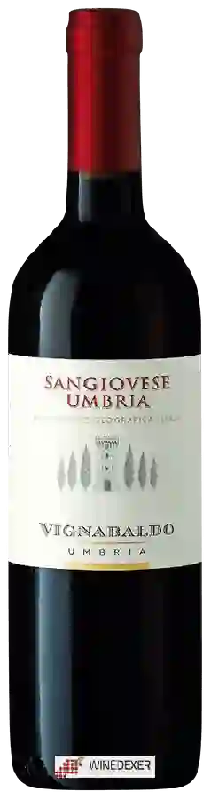 Winery Vignabaldo - Sangiovese Umbria Winery Vignabaldo - Sangiovese Umbria