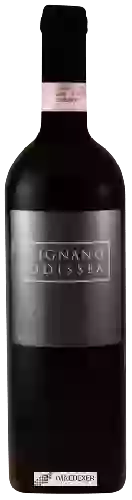 Winery Vignano - Odissea Chianti