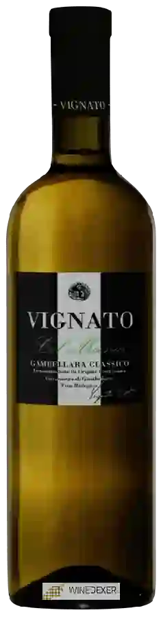 Winery Vignato Davide - Col Moenia Gambellara Classico Winery Vignato Davide - Col Moenia Gambellara Classico