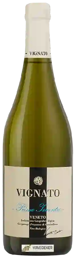 Winery Vignato Davide - Primo Incontro Winery Vignato Davide - Primo Incontro