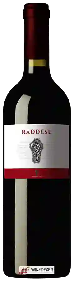 Winery Vignavecchia - Raddese Winery Vignavecchia - Raddese