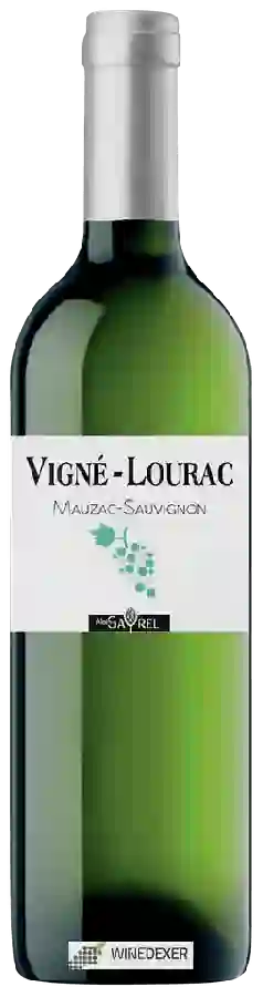 Winery Vigné-Lourac - Mauzac - Sauvignon Winery Vigné-Lourac - Mauzac - Sauvignon