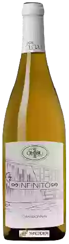 Winery Vigne Olcru - Infinito Chardonnay