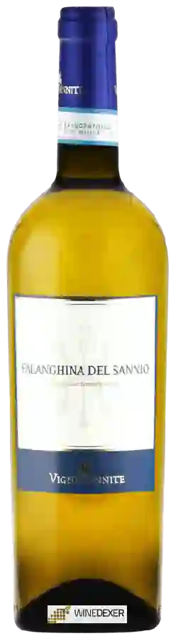 Winery Vigne Sannite - Falanghina del Sannio