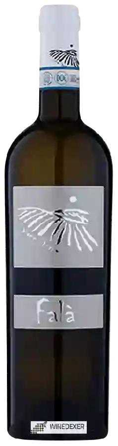 Winery Vigne Storte - Falà Winery Vigne Storte - Falà