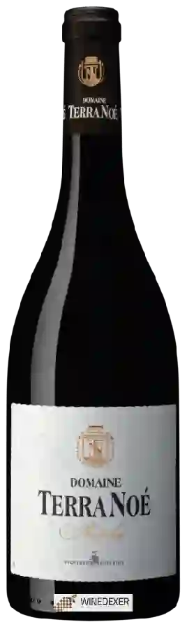 Winery Vignerons Ardéchois - Domaine Terra Noé Ardèche Winery Vignerons Ardéchois - Domaine Terra Noé Ardèche