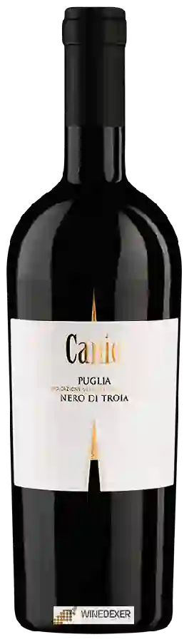 Winery Vigneti del Salento - Canio Nero di Troia